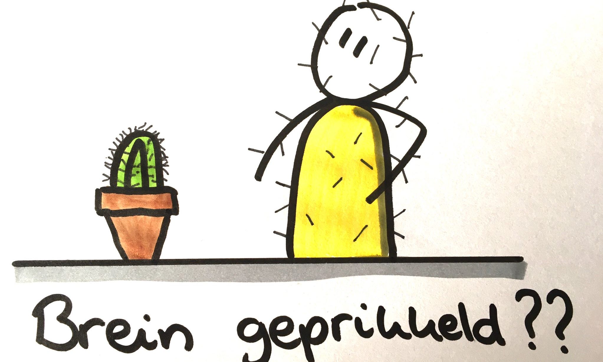 cropped-brein-geprikkeld-1.jpg
